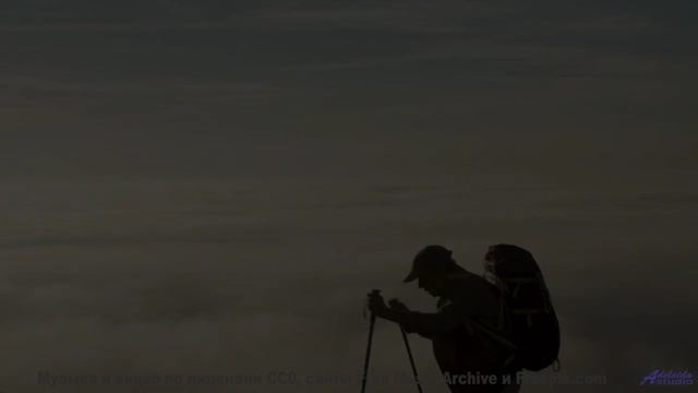 Леса становятся ближе с каждым новым аккордом - Cowgirl -- Jeremy Allingham -- Run Wild