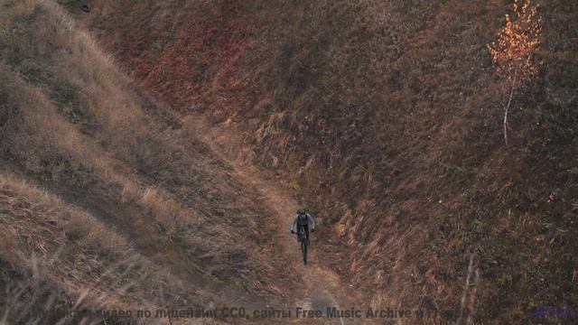 Музыка для симбиоза человека и ИИ - следующий шаг эволюции! - Ill Be Waiting -- Double-F the King --