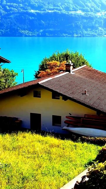 Такое бывает раз в жизни