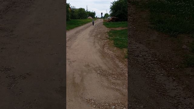 прогулка