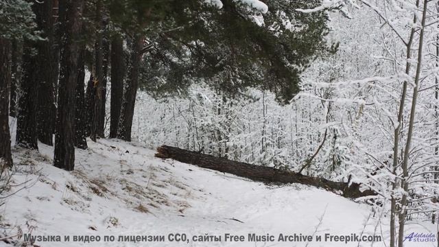 Остановитесь и услышьте это! - A New Path -- Kirk Osamayo -- Season Two (GREEN)