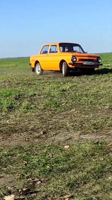 будни Зазовода)