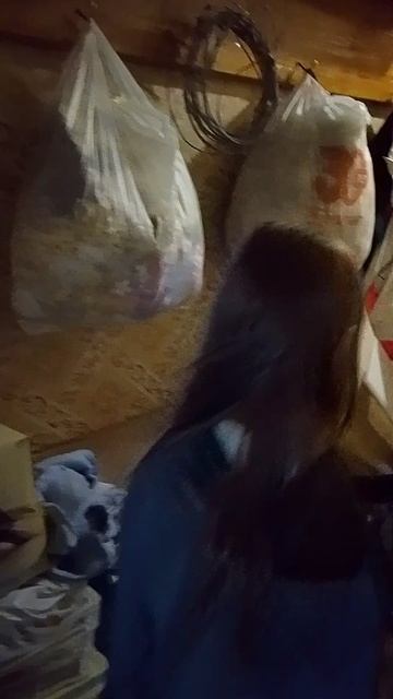 1000000159.mp4