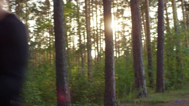 Эти пейзажи и музыка выносят мозг моментально - Alptraum -- Roboy -- Le Petit chat doit mourir