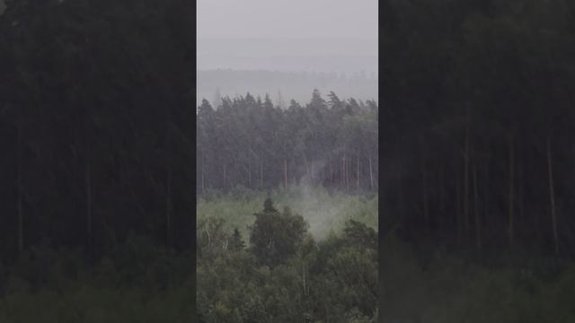 ПРИВЕДЕНИЕ ДОЖДЯ