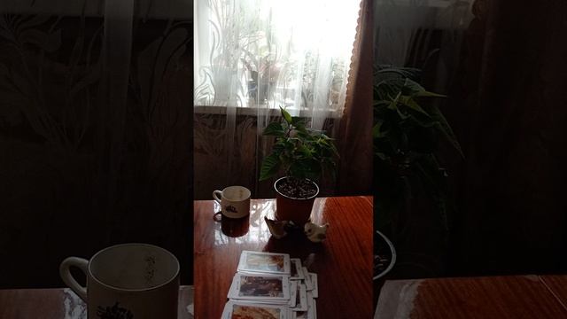 Таро.Что вас ждёт + подарок.