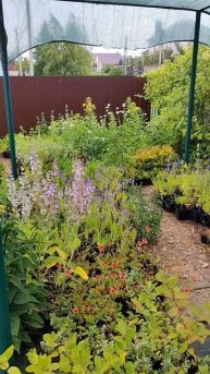 Сделали притенение от жары