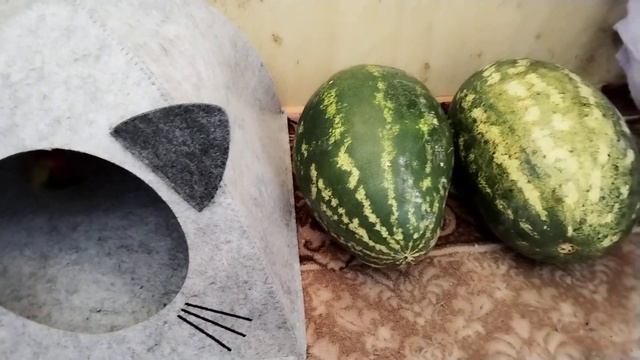 Жалко выбросить/Отправлю ребятам#жизньпослеобзор #СВО#волонтерство