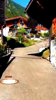 Камера зафиксировала лучший кадр