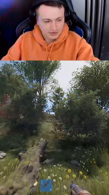 Просто не повезло #rust
