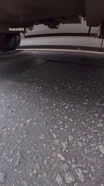 Чтобы спасти утят, велосипедистки остановили движение на дороге на ул. Нижние Мневники 🦆