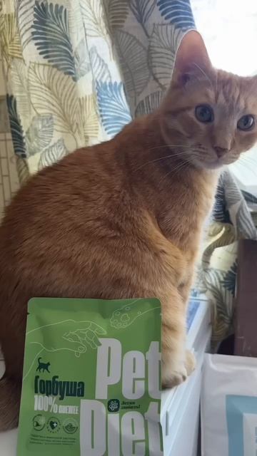 Pet Diet - натуральное питание для кошек
