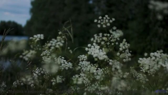 Эти леса под эту музыку - восторг - Bouncer -- Ketsa -- Unified Division