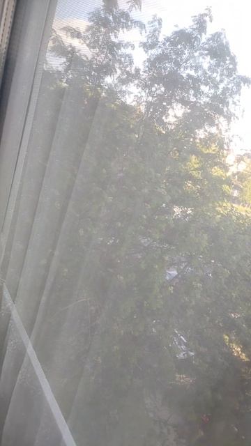 VID_20250615_054135.mp4