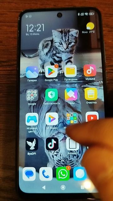 Xiaomi redmi note 10