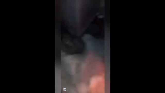 Не поддерживай  хохлов – проиграешь
