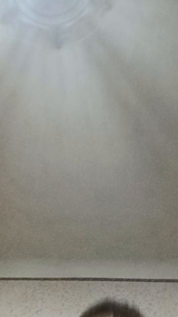 1000005390.mp4