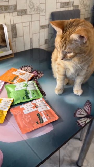 Pet Diet - натуральное питание для кошек