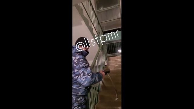 video-58b4a966de0f2ad53f4d0aa814036da4-V