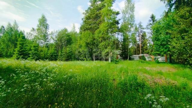 посёлок Пчёвжа, Узкоколейная улица
