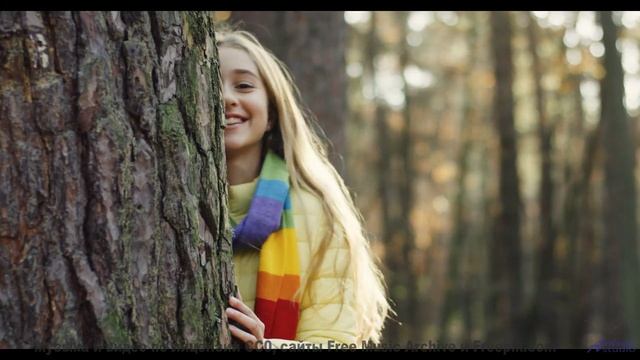 Эта песня станет вашим личным гимном свободы и любви в пути - The Bright Lights of Summer -- Nihilor