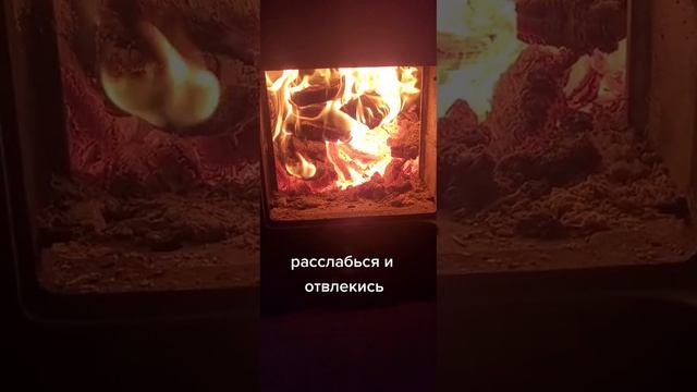 Вечно можно смотреть на три вещи