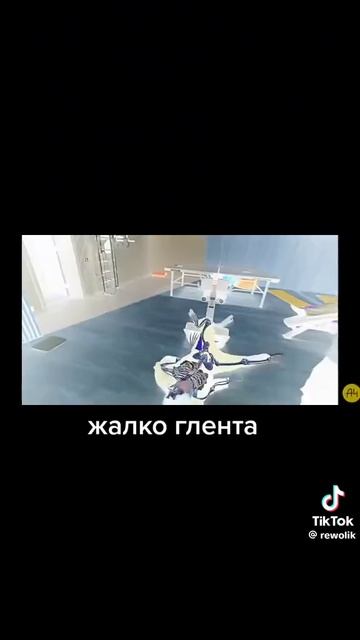 1000028681.mp4