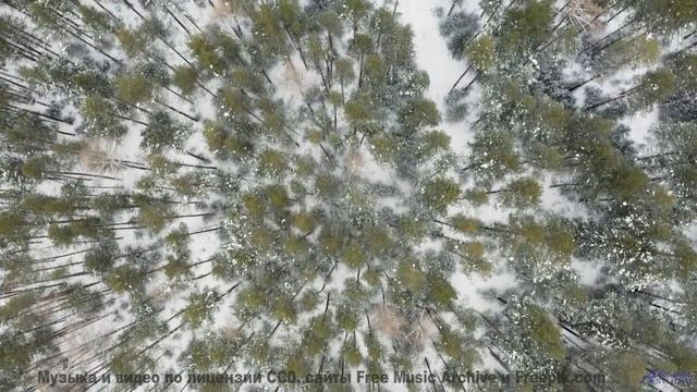 Эта музыка заставит ваше сердце биться чаще - попробуйте не плакать! - Track 05 -- Berbere Superstar