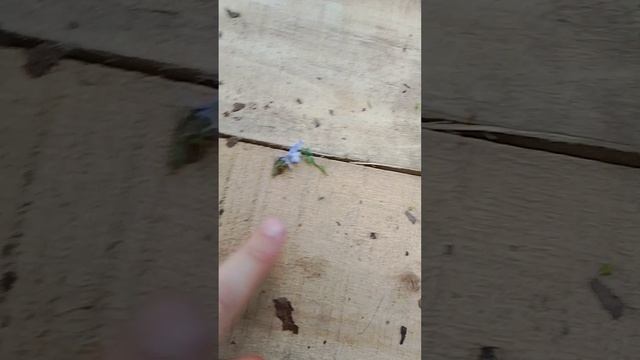 1000013521.mp4