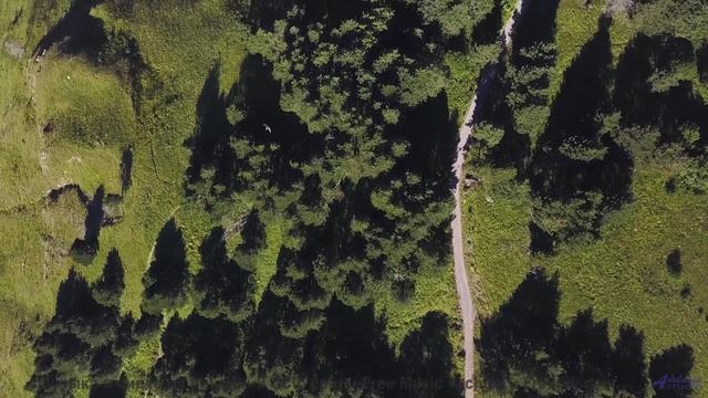 Трек, который вы будете слушать, когда в сотый раз заблудитесь вместе - Our Ships Line The Ocean Flo