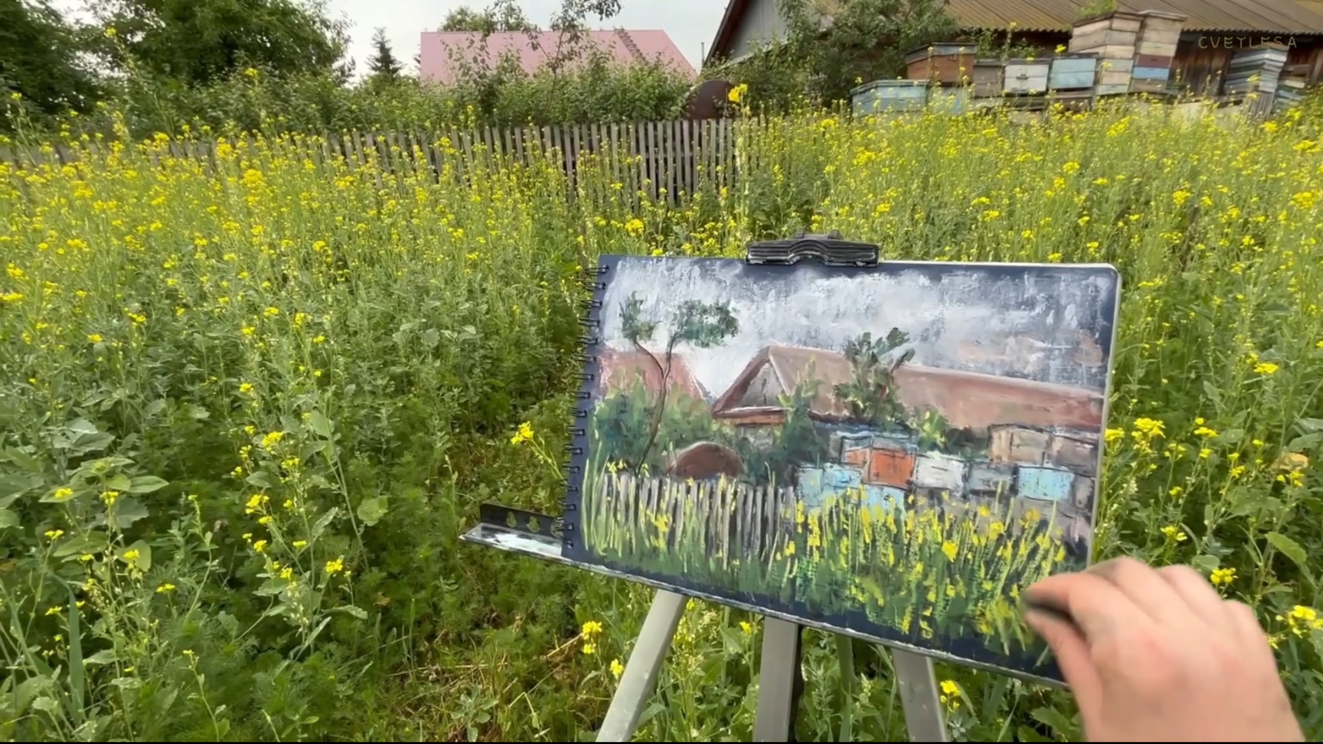 🎨 Пленэр 🌧️ Рисую под летним дождем сухой пастелью ☀️