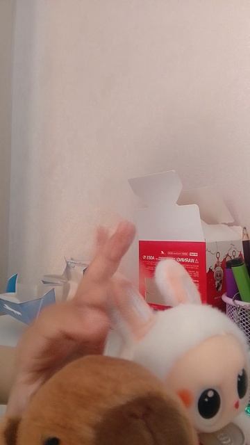 Лабубу и Капибара программа