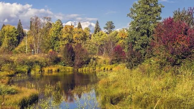 Экскурсия по природному заповеднику «Нургуш»
Лесной дневник