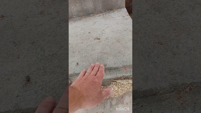 Дом 😱 нервы, стресс, споры? Нет, просто ТехНадЗор 🤗!