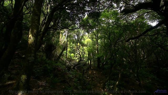 Звук уносит туда, где заканчиваются карты и дороги - Slow Burn -- Johannes Weber -- Unnamed album