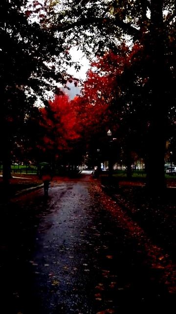 Поймано за долю секунды