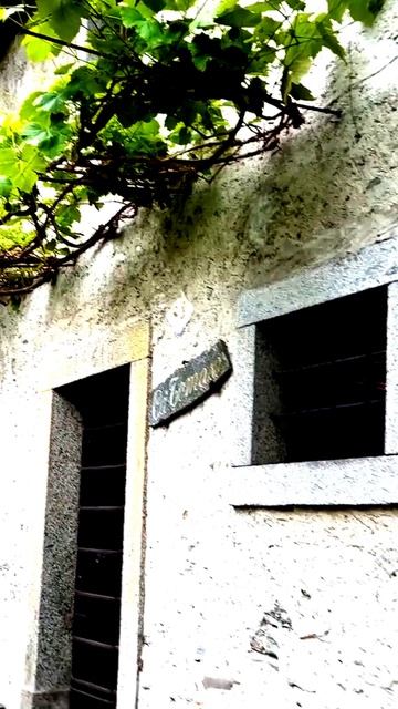 Запечатлено в нужную секунду