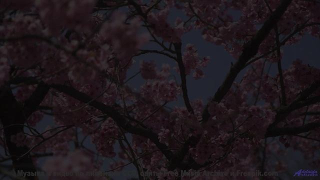 Лес превращается в сказку, стоит лишь включить звук - 4-les corbeaux de westminster -- Bonne Humeur