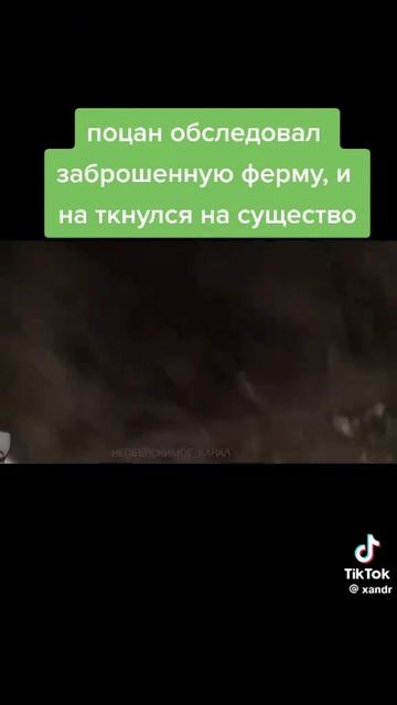 Нечто с фермы
