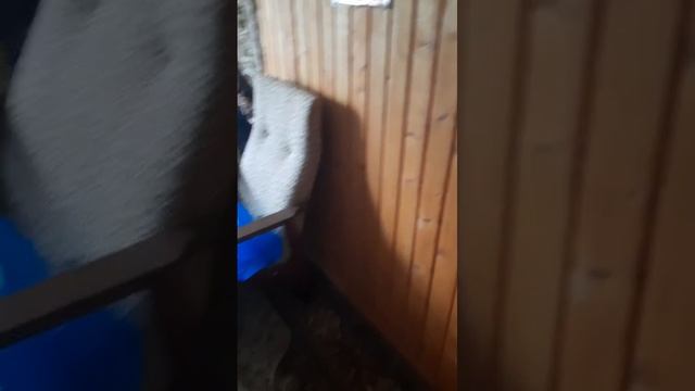 1000052908.mp4