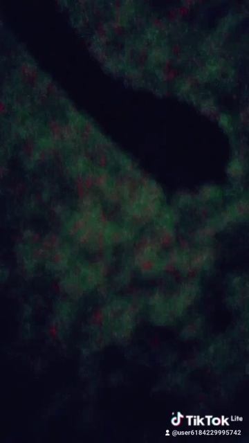 1000009683.mp4