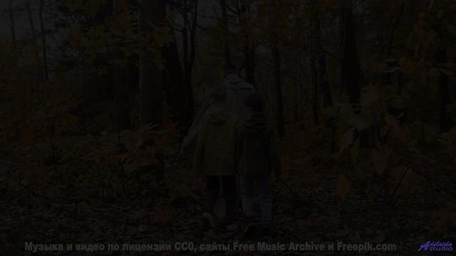 Прекраснее этого видео нет ничего на свете - докажи мне обратное! - Laundry On The Wire -- HoliznaCC