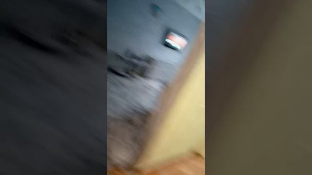 1000016528.mp4
