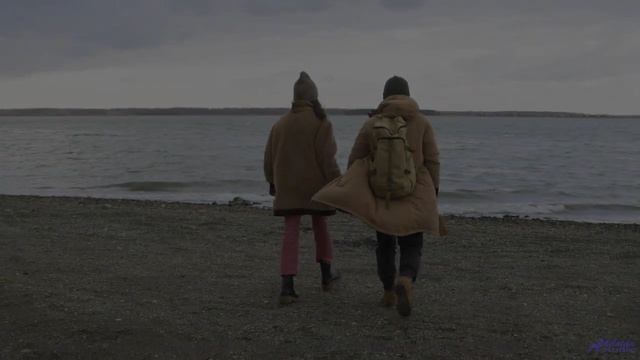 Аккорды льются вместе с дождём и ветром в душу - Marigold -- Evan Schaeffer -- Afterthought