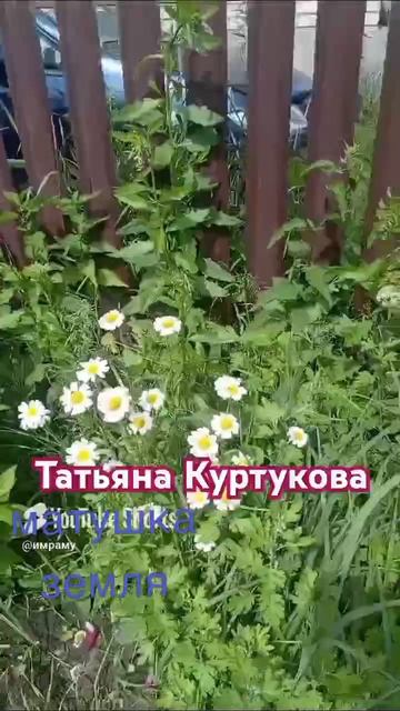Матушка земля.Татьяна.