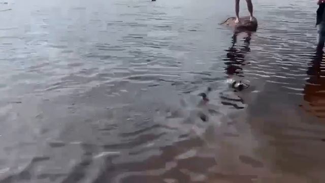 Видео от Санкт-Петербург