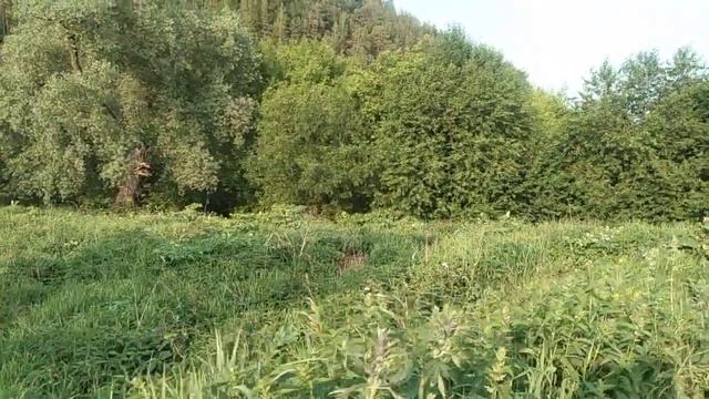 Пермский край. Кунгурский р-0н. река Бабка! 14 июня 2025