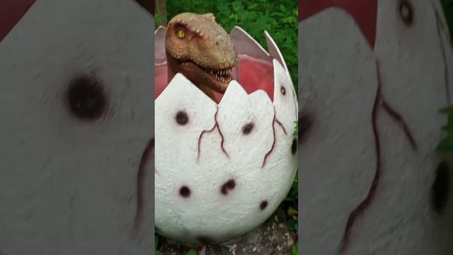 lv_0_20250615222420.mp4
