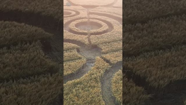 Стоунхендж. Круги на полях 53