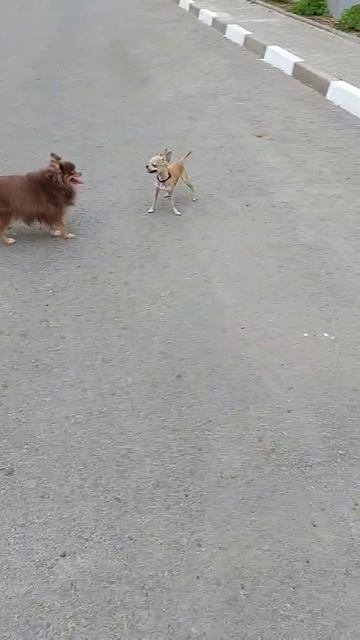 Майка на прогулке